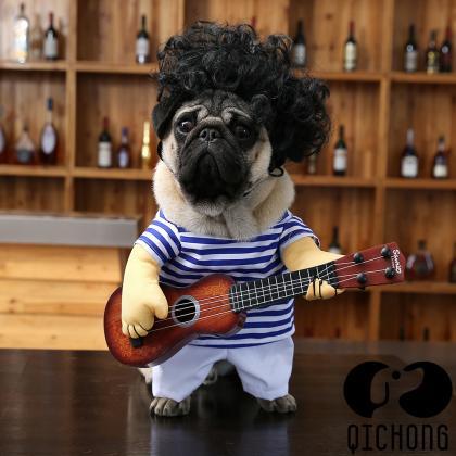 Pet dog guitarist disguised funny g..