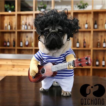 Pet dog guitarist disguised funny g..