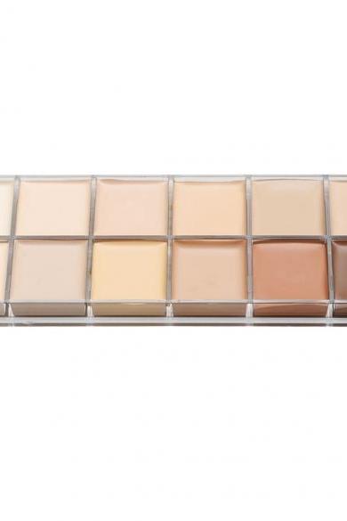 12 Colors Natural Contour Face Cream Makeup Cosmetic Kit Concealer Palette